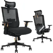 HDeye SM6 bureaustoel, ergonomische stoel, multifunctioneel verstelbaar design, zwart