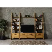 AEA Wohnwand Schrankwand Wohnzimmermöbel Sideboard Holzmöbel Luxus