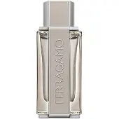 Salvatore Ferragamo Ferragamo Bright Leather Men Edt Vapo 100 ml