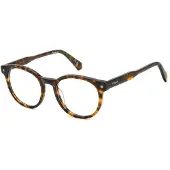 Polaroid PLD D519 50/19/145 Havana Acetaat monturen UNISEX PLD D519