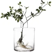 ERNST Vaas Met Deksel H28 Cm - Vazen Glas Clear - 364332