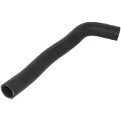 THERMOTEC Radiatorslang DW0580TT