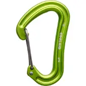 Edelrid Nineteen G II Karabijnhaak, groen 2023 Karabijnhaken