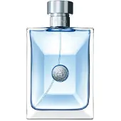 Versace Pour Homme 100 ml Eau de Toilette - Herenparfum