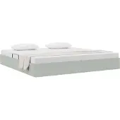vidaXL Ottoman Bedframe met opslag Lichtgrijs 200 x 200 cm Fluweel
