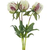 Erutan avon Paeony Marlie bundle a 3 pcs cream 48 cm kunstbloem
