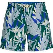 O'Neill Boardshorts chamois / royal blue/koningsblauw / duifblauw / groen