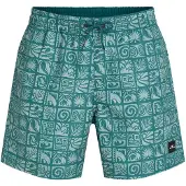 O'Neill Zwemshorts spar / natuurwit