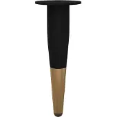 vidaXL Meubelvoeten 2 st Zwart en Goud Ø 40 x 98 mm IJzer