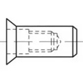 Toolcraft TO-5444301 Popmoer M4 Staal 500 stuk(s)