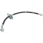 Delphi Remslang LH0404