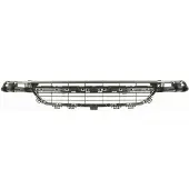 BLIC Bumper - ventilatierooster 6502-07-0086919P