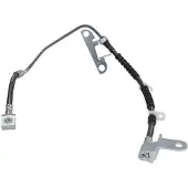 Delphi Remslang LH6925