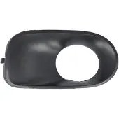 BLIC Bumper - ventilatierooster 6502-07-0095923P