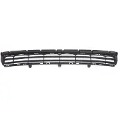 BLIC 6502-07-0552994Q Ventilatiegrille, bumper