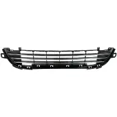 BLIC Bumper - ventilatierooster 6502-07-5508911Q