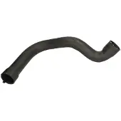 THERMOTEC Radiateurslang DWC006TT