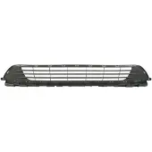 BLIC 6502-07-5060910P Ventilatiegrille, bumper