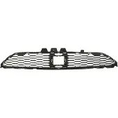 BLIC 6502-07-1307910P Ventilatiegrille, bumper