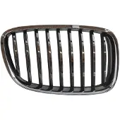 PRASCO BM5002003 Radiator grill