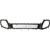 BLIC Ventilatierooster, bumper 6502-07-3266910P