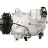 Delphi TSP0155988 Aircopomp
