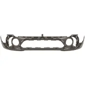 BLIC 5510-00-4004906P Bumper