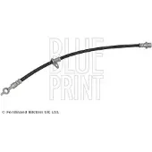Blue Print ADBP530078 Remslang