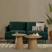 Livin24 Velvet bank 2,5-zits Denver groen