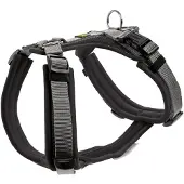 Hunter Servies Maldon (XS, Hond, Algemeen)