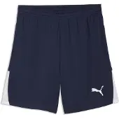 Puma Sportbroek 'TeamLIGA26' navy / wit