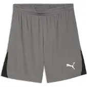 Puma Sportbroek 'TeamLIGA26' grijs / zwart / wit