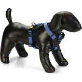 Beeztees Hondentuig Parinca Premium Blauw 49-57 X 2 Cm