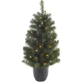 Everlands Imperial boom 90 cm groen/warm wit