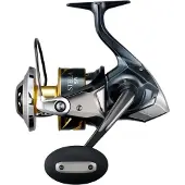 Shimano Stella Sw D Spinning Reel Zilver 20000PG