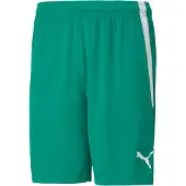 Puma teamLIGA Voetbalbroekje Groen Wit