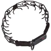 Sprenger Roestvrij Staal Ketting Met Slotstraf
