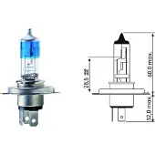 Diederichs LID10011 Gloeilamp, verstraler