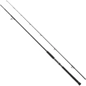 Shimano Fishing Xr S100m Spinning Rod Zilver 3.05 m / 56 g