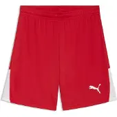 Puma Sportbroek 'TeamLiga26' rood / wit