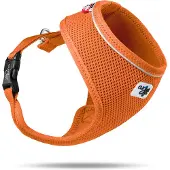Curli Basis tuig, Air-Mesh, oranje, maat XS