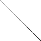 Daiwa Legalis Slow Jigging Rod Zilver 1.98 m / 250 g