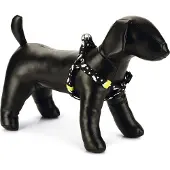 Beeztees Hondentuig Thunder Zwart 35-60 X 1,5 Cm