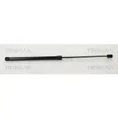 TRISCAN 8710 292016 Gasveer achterklep