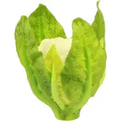 Viana Kunstbloemkool groentedecoratie wit groen Ø9cm H15cm