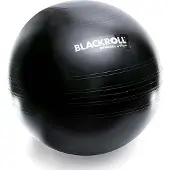 Blackroll Gymbal - Fitnessbal - Zwart - 65 cm