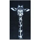 Vica International Deurmat Wild Life Giraffe - 66x120 cm