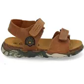 Develab 48493 757 cognac (24-3)