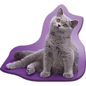 CAT Kussen van Poes