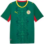 Puma Tricot 'Senegal 2026' geel / groen